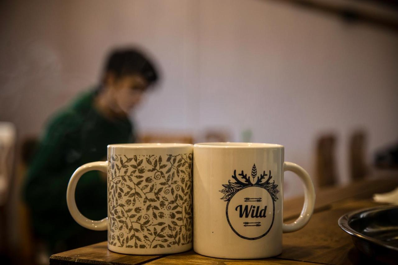 Hostal Boutique Terra Antarctica 蓬塔阿雷纳斯 外观 照片
